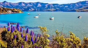 Rejs wzdłuż wybrzeży Australii i Nowej Zelandii - Norwegian Cruise Line