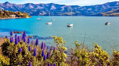 Rejs wzdłuż wybrzeży Australii i Nowej Zelandii - Norwegian Cruise Line