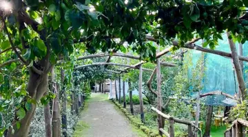 Relais Correale