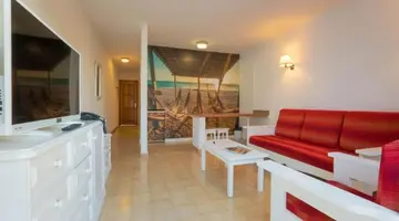 Relaxia Olivina