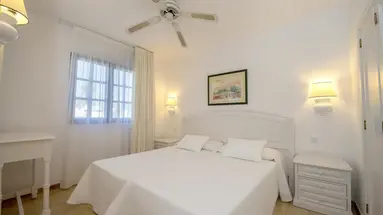 Relaxia Olivina