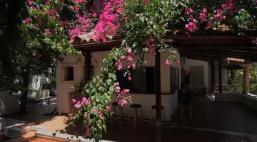 Rena Apartments