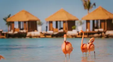 Renaissance Wind Creek Aruba Resort