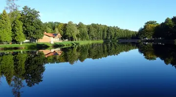 Reset Spała
