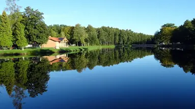 Reset Spała