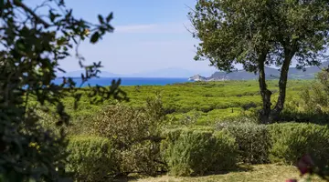 Residence Park Solemaremma