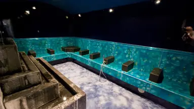 Residenza Delle Terme