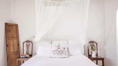 Rhenia Mykonos Hotel and Bungalows