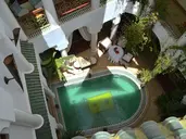 Riad Alida
