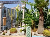 Riad Armelle