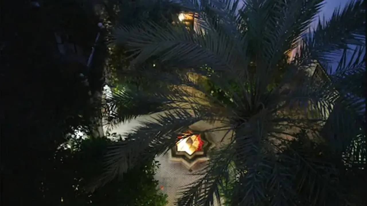 Riad Ifoulki