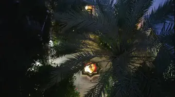 Riad Ifoulki
