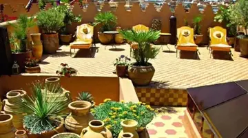 Riad Ifoulki