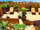 Riad Ifoulki