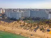 Riadh Palms