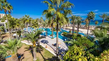 Riadh Palms