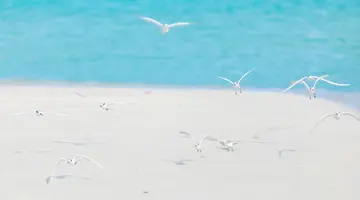 RIHIVELI MALDIVES RESORT