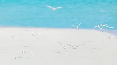 RIHIVELI MALDIVES RESORT