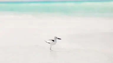 RIHIVELI MALDIVES RESORT