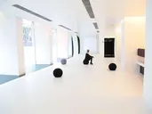Ripa