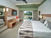 Riu Flamingos