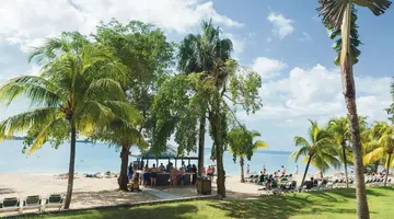 Riu  Negril - All Inclusive