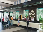 RIU NEGRIL