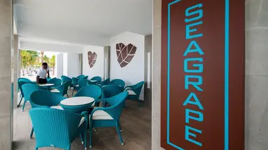 Riu Ocho Rios - All Inclusive