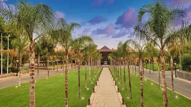 Riu Tikida Garden