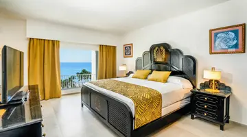 Riu Vallarta