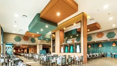 Riu Vallarta