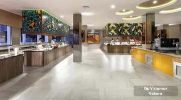 RIU VISTAMAR