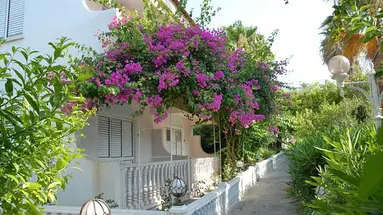 RIVERSIDE GARDEN RESORT