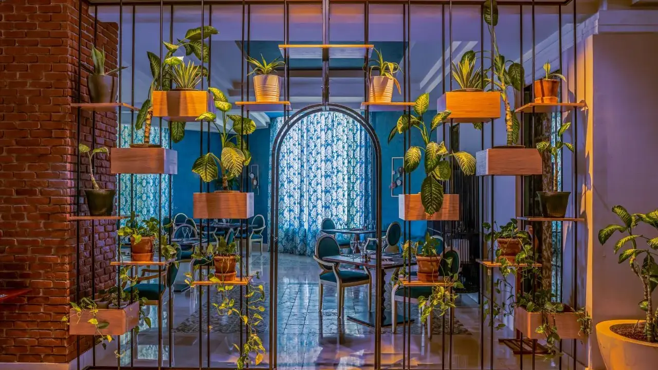 Rixos Sharm El Sheikh (Adults only 18+)