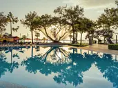 ROBINSON CAMYUVA HV (ONLY ADULT +18)