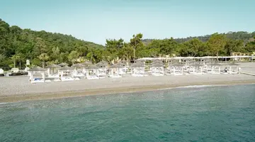 ROBINSON CAMYUVA HV (ONLY ADULT +18)