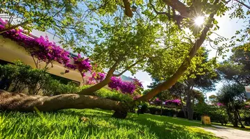 Robinson Club Apulia