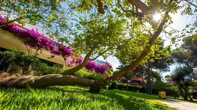 Robinson Club Apulia