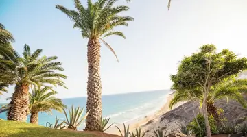ROBINSON ESQUINZO PLAYA - All Inclusive