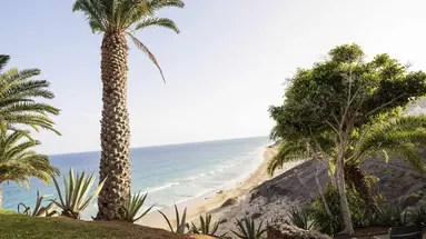 Robinson ESQUINZO PLAYA