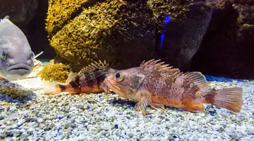 Rodzinna Przygoda - Kreta