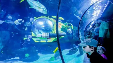 Rodzinna Przygoda w Danii: Legoland + Kopenhaga