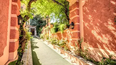 Rome Garden