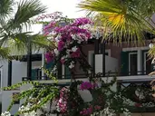Rose Bay Hotel