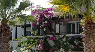 Rose Bay Hotel