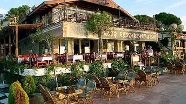 Rosy Suites