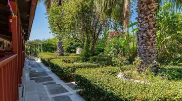 Roussas Studios and Apartments