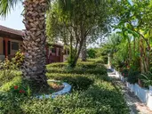 Roussas Studios and Apartments