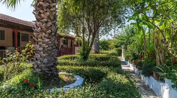 Roussas Studios and Apartments