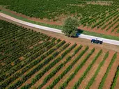 Roxanich Winery & Design Hotel